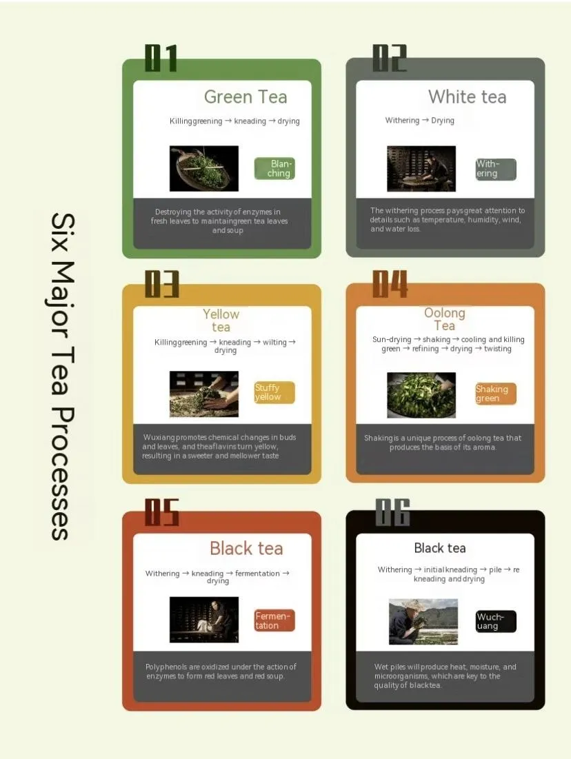 Why is Chinese tea divided into six categories-en.webp
