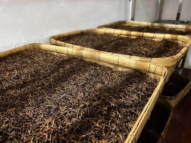 Fermented black tea.webp